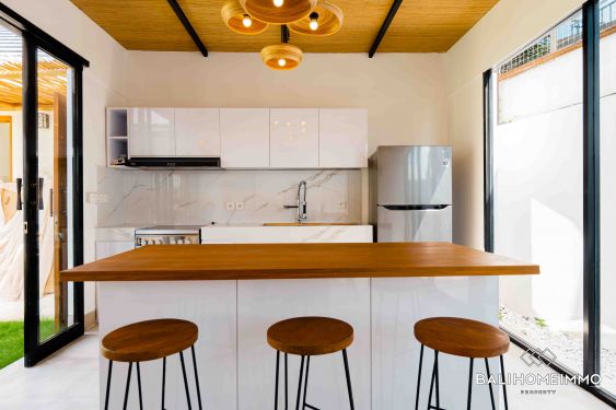 Image 7 from Vila 4 Kamar Tidur Disewakan Jangka Panjang di Bali Canggu