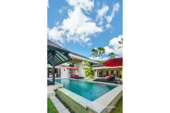 Image 13 from Villa 4 Kamar untuk Dijual dan Disewa di Berawa