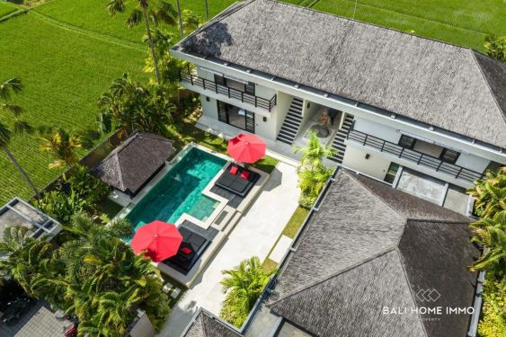 Image 15 from Villa 4 Kamar untuk Dijual dan Disewa di Berawa