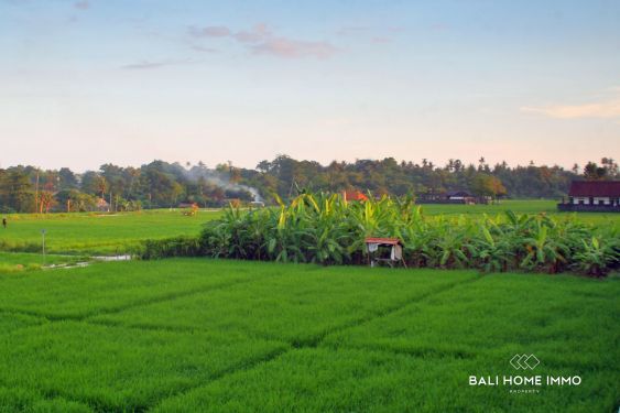 Image 18 from Villa 4 Kamar untuk Dijual dan Disewa di Berawa