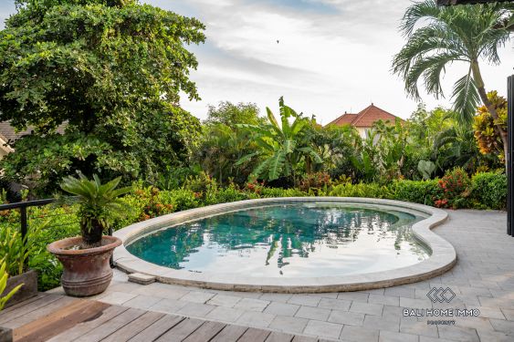 Image 15 from 4 Bedroom Villa for Monthly Rental in Bali Canggu Berawa