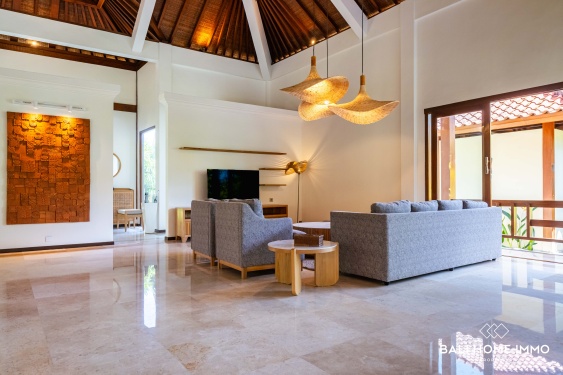 Image 18 from 4 Bedroom Villa for Yearly Rental in Pererenan