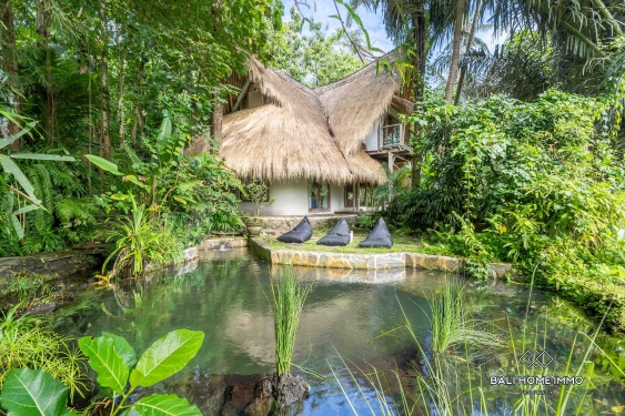 4 Bedrooms Eco Villa with River and Jungle View for Rent Near Greenschool