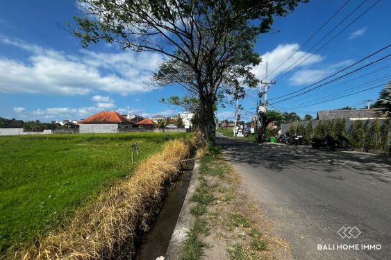 Image 5 from Terrain de 40 ares en bord de rue à vendre en location près de Seseh Beach