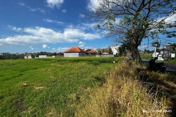 Image 4 from Terrain de 40 ares en bord de rue à vendre en location près de Seseh Beach