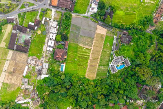 Image 8 from 42 are street front land for sale leasehold in Buwit Tabanan Bali