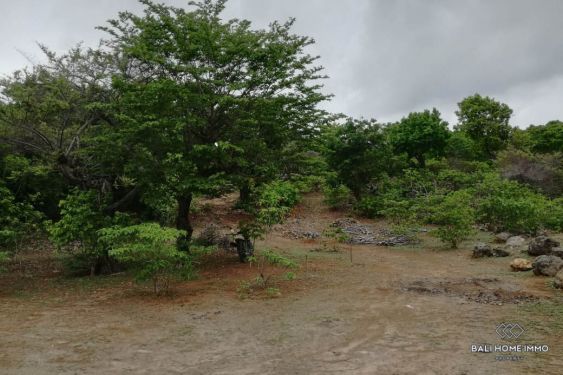 Image 13 from Tanah 43 Are Dijual di Pulau Rote Nusa Tenggara Timur