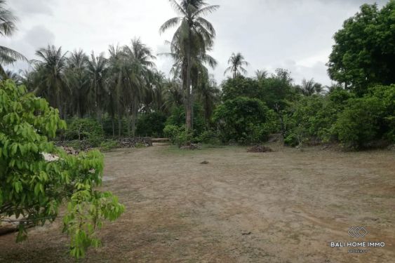 Image 2 from 43 sont des Terrains à vendre en pleine propriété à Rote Island East Nusa Tenggara