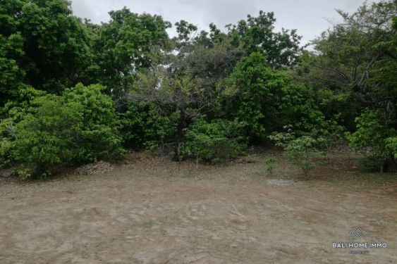 Image 6 from Tanah 43 Are Dijual di Pulau Rote Nusa Tenggara Timur