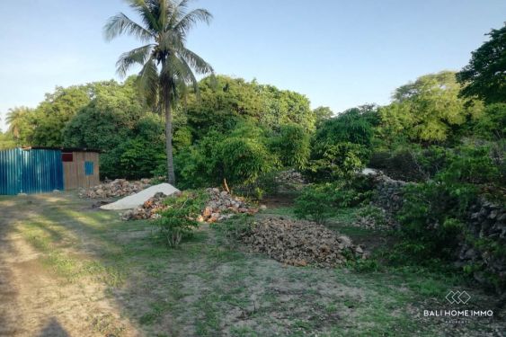 Image 16 from Tanah 43 Are Dijual di Pulau Rote Nusa Tenggara Timur