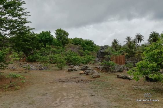Image 9 from Tanah 43 Are Dijual di Pulau Rote Nusa Tenggara Timur