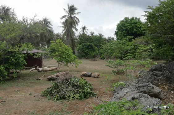 Image 10 from Tanah 43 Are Dijual di Pulau Rote Nusa Tenggara Timur