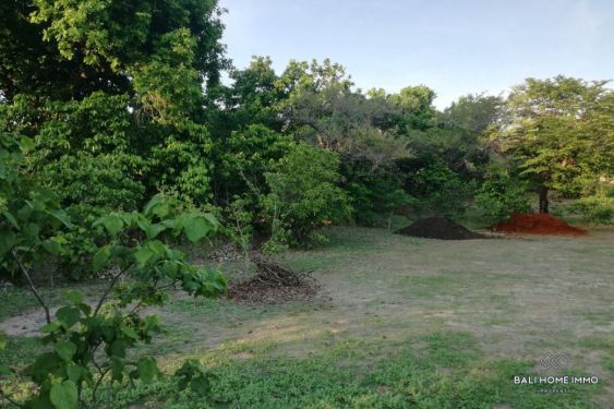 Image 7 from Tanah 43 Are Dijual di Pulau Rote Nusa Tenggara Timur