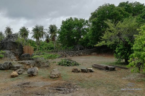 Image 3 from 43 are Land for sale freehold in Rote Island East Nusa Tenggara