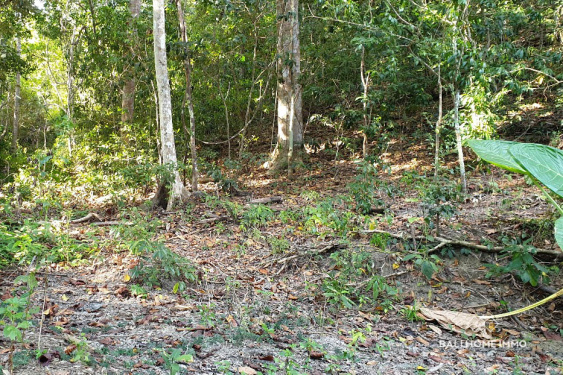 Image 2 from 4.5 hectare Land with Ocean View for Sale in Central Sumba