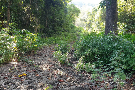 Image 3 from 4.5 hectare Land with Ocean View for Sale in Central Sumba