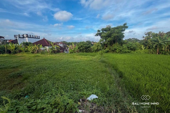 Image 4 from 5.1 Dijual Tanah Pemandangan Sawah di Kerobokan Bali
