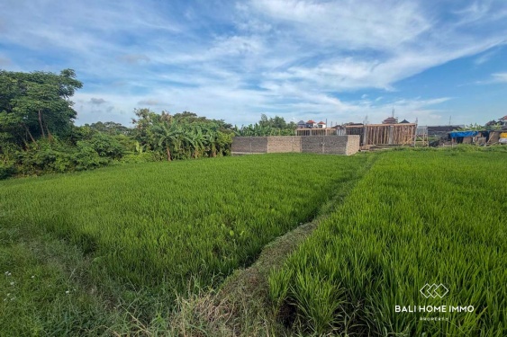 Image 5 from 5.1 Dijual Tanah Pemandangan Sawah di Kerobokan Bali