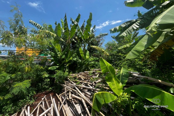 Image 4 from 5.3 streetfront land in touristic zone for sale in berawa