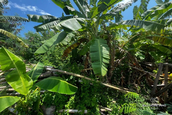 Image 2 from 5.3 streetfront land in touristic zone for sale in berawa