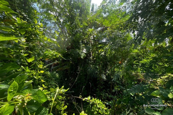 Image 3 from 5.3 streetfront land in touristic zone for sale in berawa