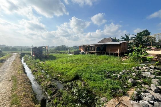 Image 3 from 5.82 are land for sale leasehold with ricefield view in Yeh Gangga Tabanan