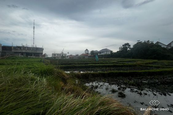 Image 4 from Terrain de 5 are dans la zone touristique à vendre à distance de marche de la plage de Cemagi Bali