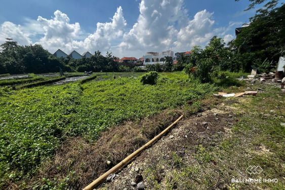 Image 9 from Terrain de 5 are dans la zone touristique à vendre à distance de marche de la plage de Cemagi Bali