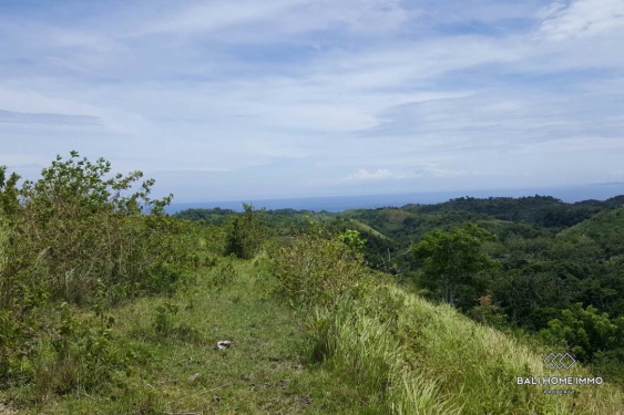 Image 3 from 5 are land with ocean view for sale freehold in Nusa Penida