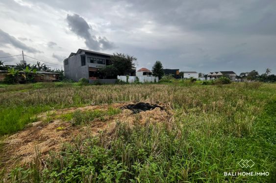 Image 3 from 5 are residential land with ricefield view for sale in Tumbak Bayuh