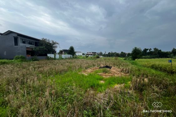 Image 2 from 5 are residential land with ricefield view for sale in Tumbak Bayuh
