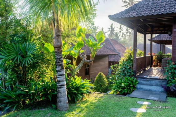 Image 14 from 5 bedroom Investment Villa for sale in Ubud