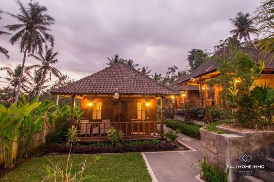 Image 1 from 5 bedroom Investment Villa for sale in Ubud