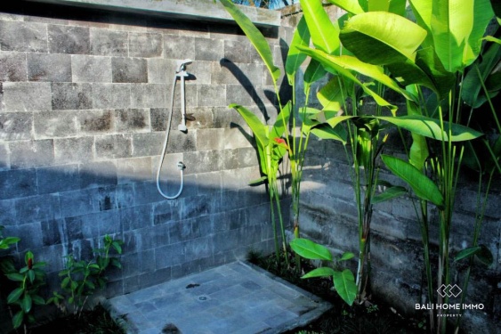 Image 15 from 5 bedroom Investment Villa for sale in Ubud