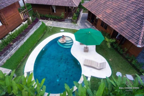 Image 16 from 5 bedroom Investment Villa for sale in Ubud