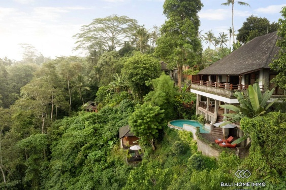 Image 1 from Villa de 5 chambres avec vue sur la jungle à louer à Ubud