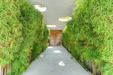 Image 14 from 5 Bedroom Luxury Villa For Sale and Rent in Bali Canggu Berawa