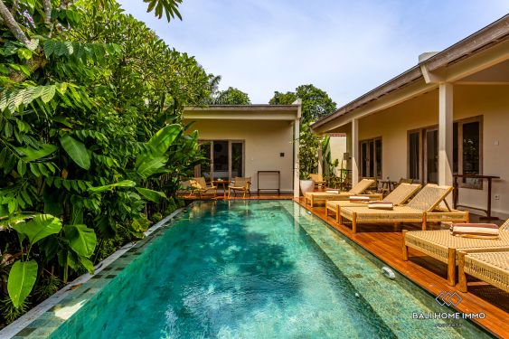 Image 17 from 5 Bedroom Minimalist Villa For Sale in Babakan Canggu Bali