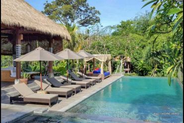 Image 3 from Villa 5 kamar tidur untuk disewakan bulanan di Canggu