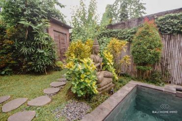 Image 4 from Villa 5 Kamar Dikontrakkan Jangka Panjang di Berawa