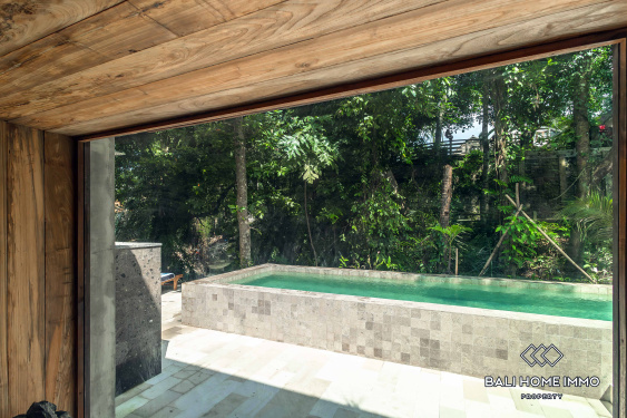 Image 15 from 5 villas à vendre et à louer dans le quartier nord de Pererenan