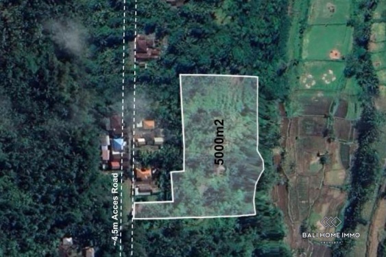 50 are land with jungle and Agung mountain view for sale in Karangasem