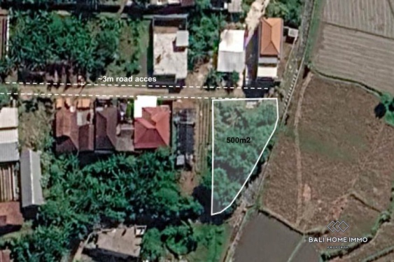 Tanah seluas 500 m² dengan pemandangan sawah dijual di Ubud.