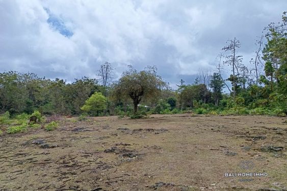 Image 2 from Tanah Hunian 500M2 Dijual Hak Milik di Balangan