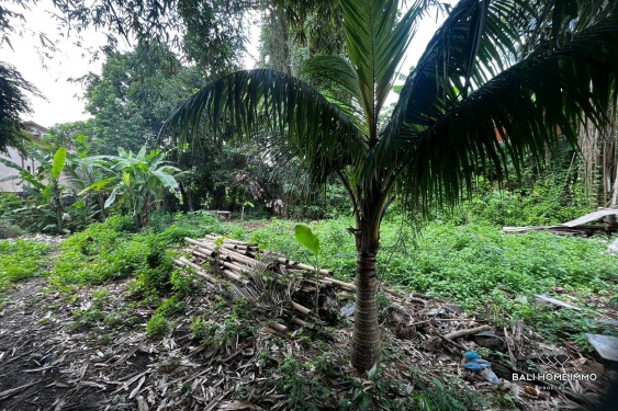 Image 4 from 6.1 sont des terrains à vendre en bail emphytéotique à Kedungu