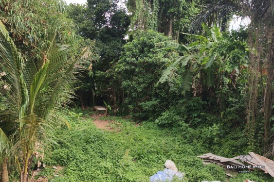 Image 3 from 6.1 are land for sale leasehold in Kedungu