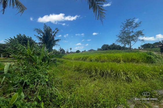 Image 3 from Tanah 6,14 are dengan pemandangan sawah dijual hak guna usaha di Perumahan Kedungu