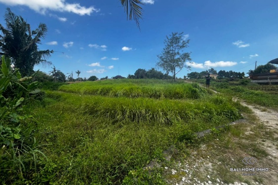 Image 6 from Tanah 6,14 are dengan pemandangan sawah dijual hak guna usaha di Perumahan Kedungu