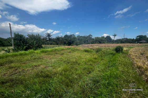Image 2 from Tanah 6,14 are dengan pemandangan sawah dijual hak guna usaha di Perumahan Kedungu