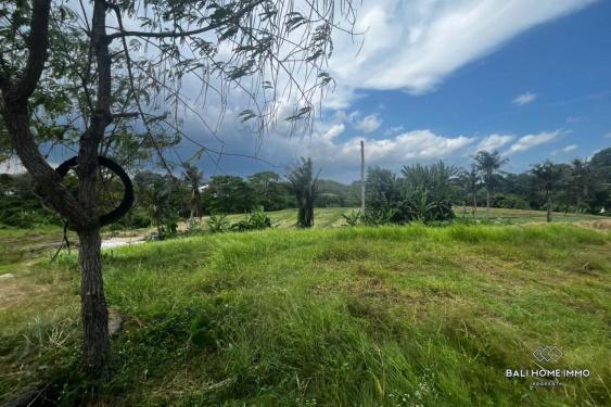Image 4 from Tanah 6,14 are dengan pemandangan sawah dijual hak guna usaha di Perumahan Kedungu